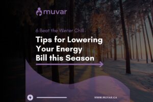 Beat the Winter Chill: 6 Tips for Lowering Your Energy Bill This Season